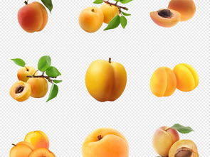 新鲜水果黄桃图片设计PNG元素素材 模板下载 29.40MB 食物饮品 大全 生活工作